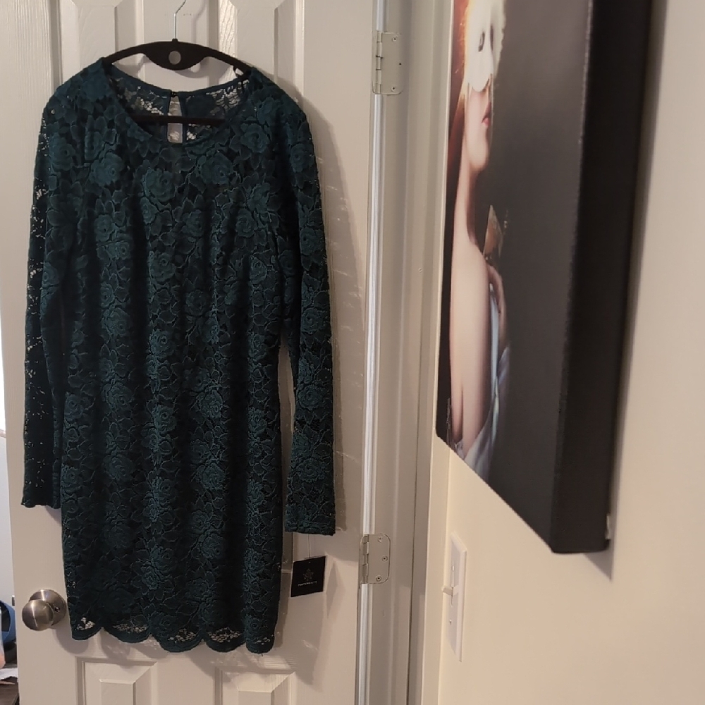 NWT Fortune + Ivy Beautiful Lace Emerald Green Long sleeve Mini Dress Sz L